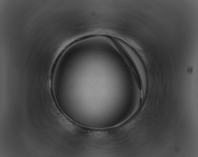 X0000091691280200708301533