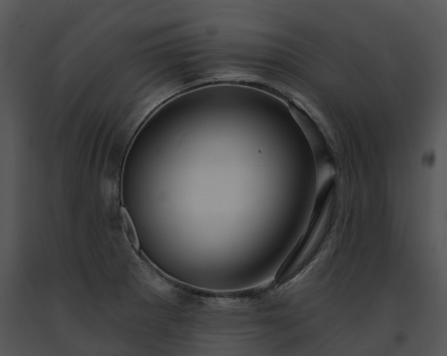 X0000091691281200708301533