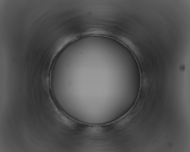 X0000091691282200708301533