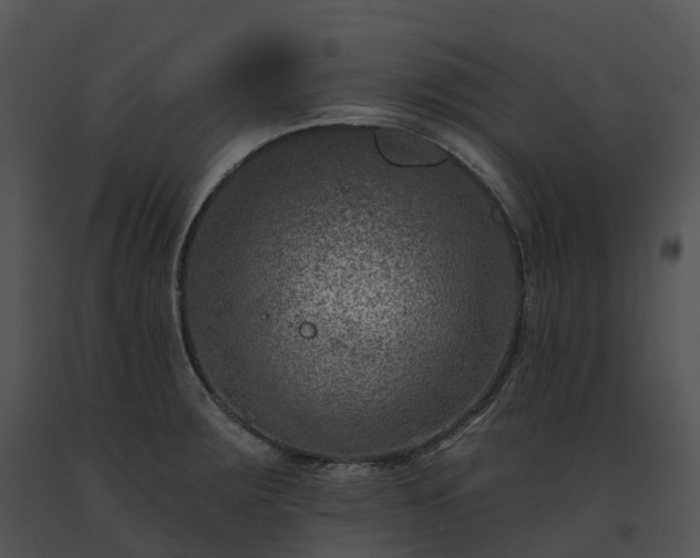 X0000091691283200708301533