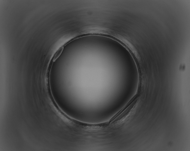 X0000091691285200708301533