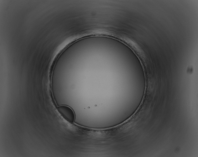 X0000091691286200708301533