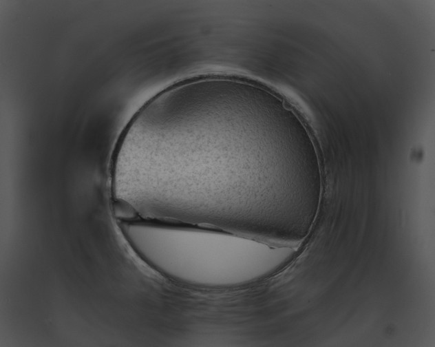 X0000091691287200708301533
