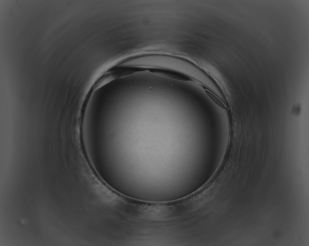 X0000091691288200708301533