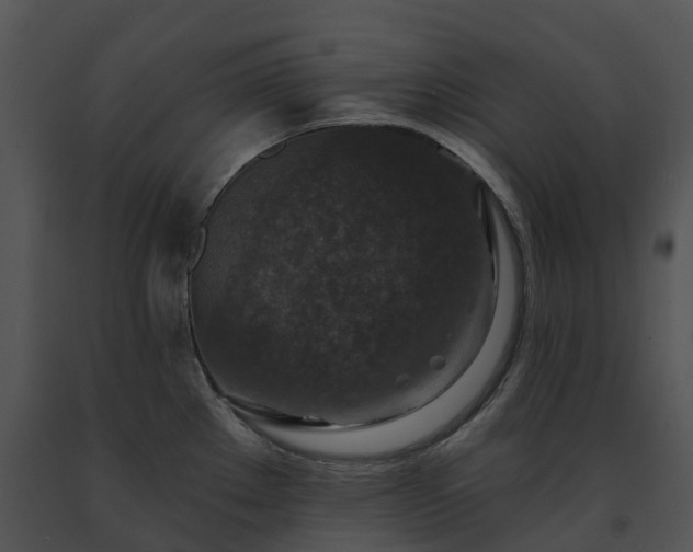 X0000091691289200708301533