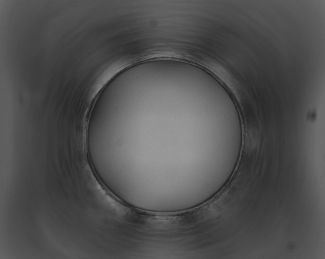 X0000091691290200708301533