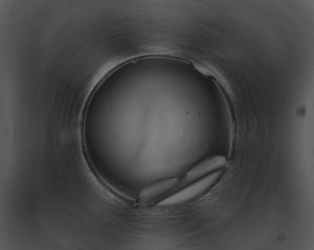 X0000091691291200708301533