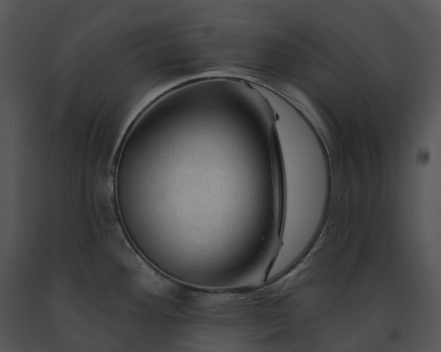 X0000091691292200708301533
