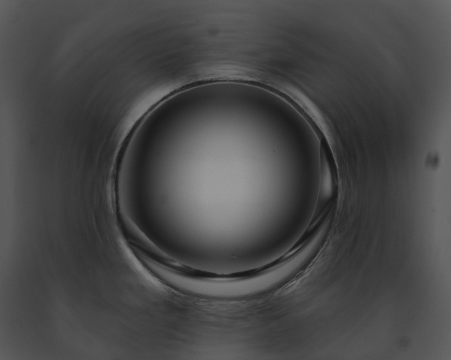 X0000091691293200708301533