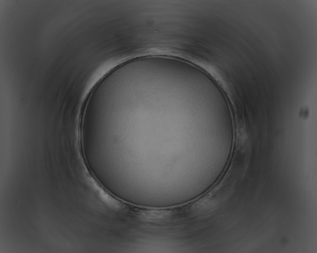 X0000091691294200708301533