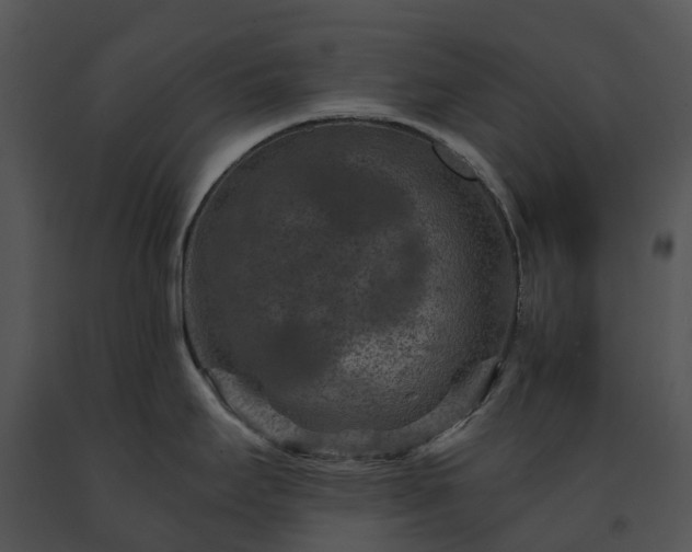 X0000091691295200708301533