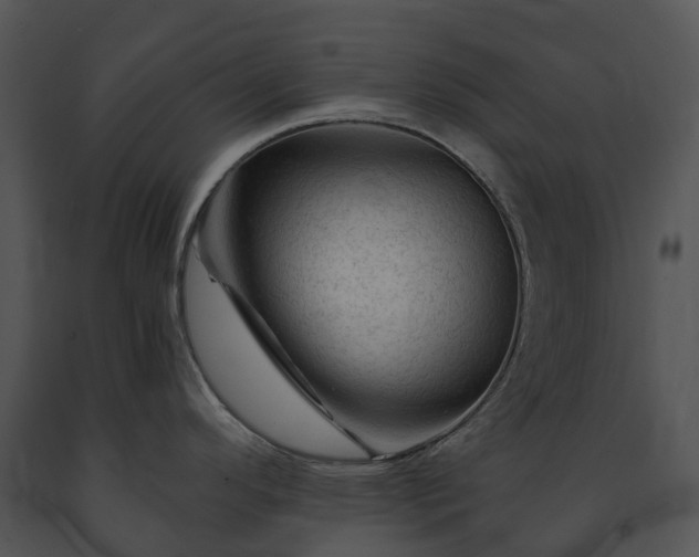 X0000091691296200708301533