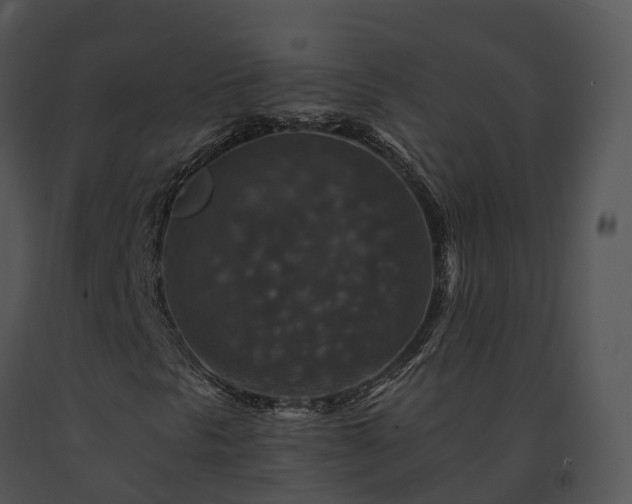 X0000091691297200708301532