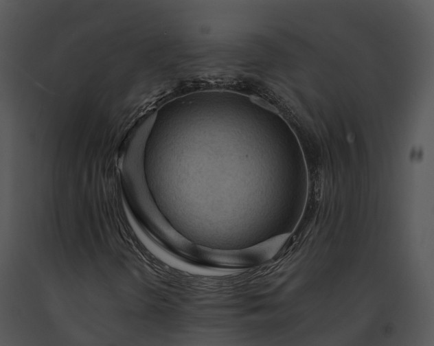 X0000091691298200708301532