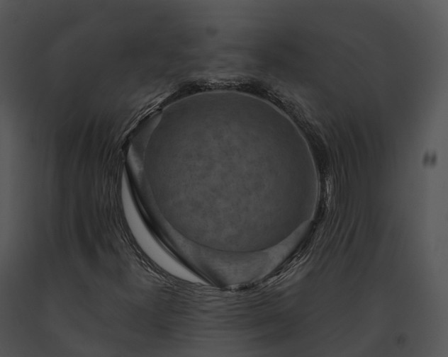 X0000091691300200708301532