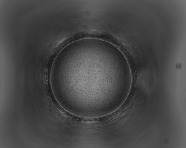 X0000091691301200708301532