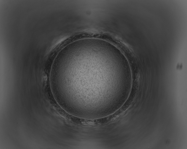 X0000091691302200708301532