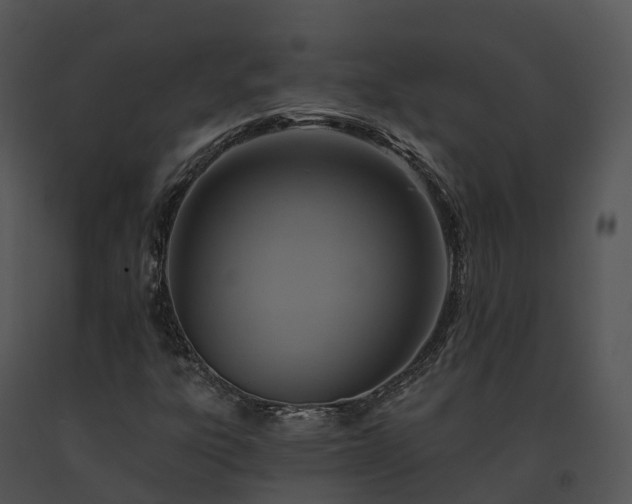 X0000091691303200708301532