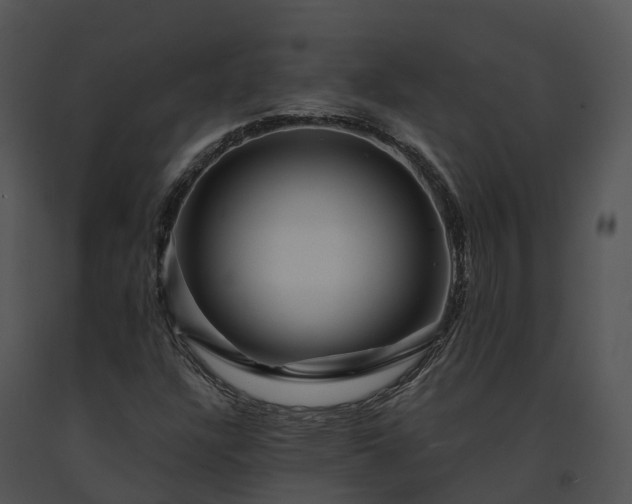 X0000091691304200708301532
