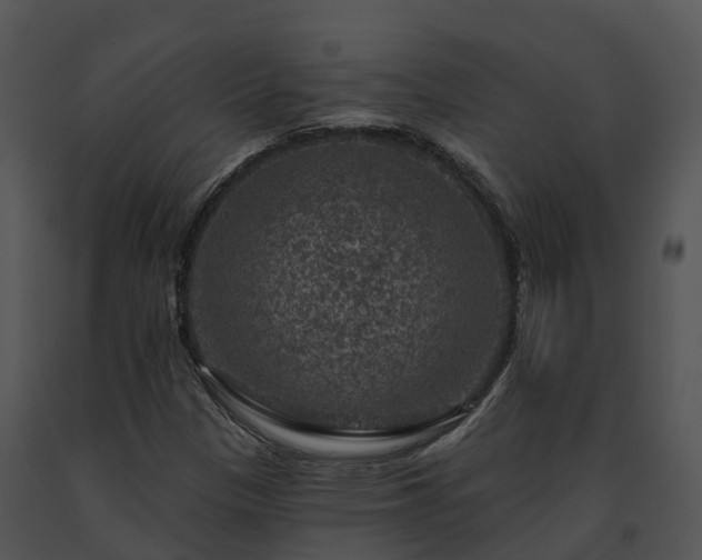X0000091691305200708301532