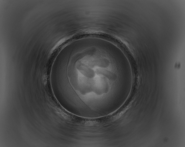 X0000091691306200708301532