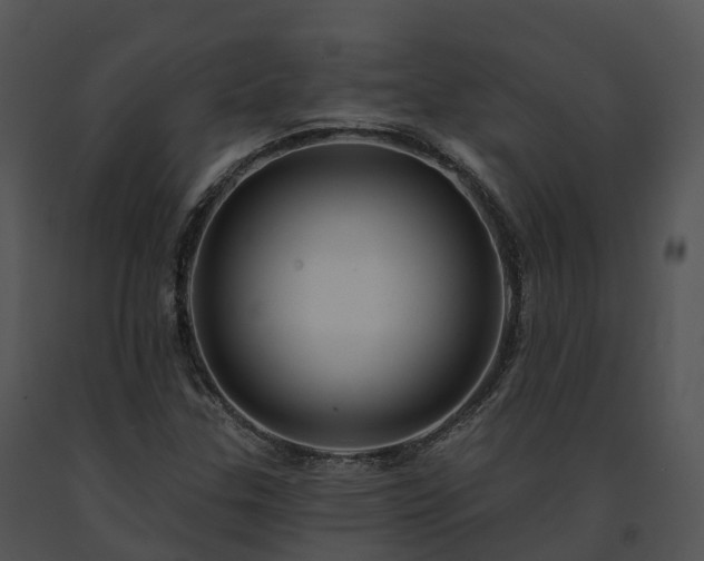 X0000091691307200708301532