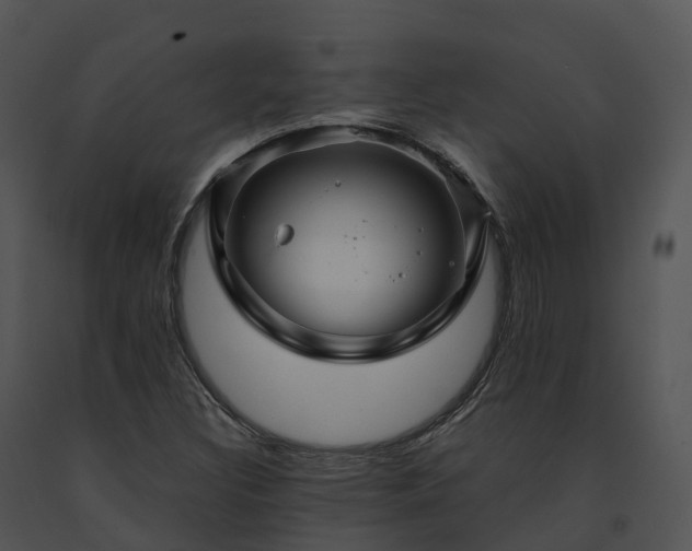 X0000091691308200708301532