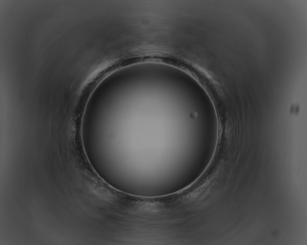 X0000091691309200708301532