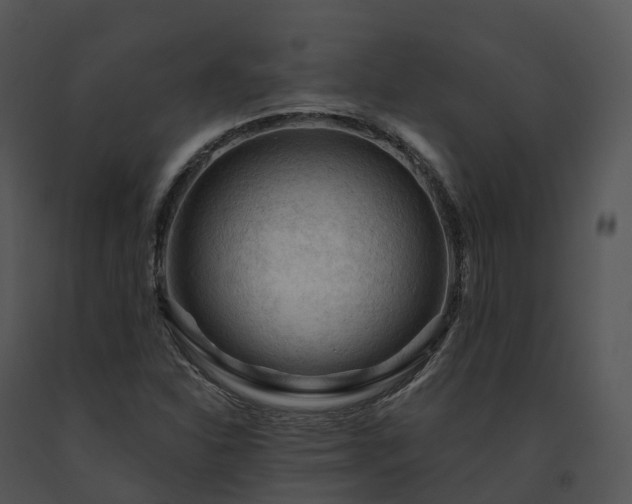 X0000091691310200708301532