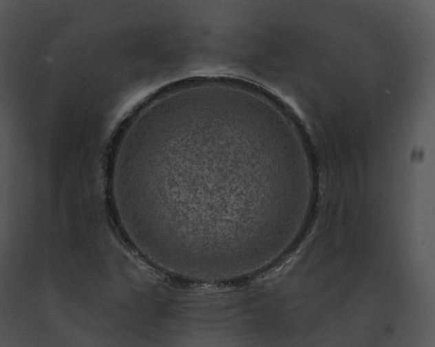 X0000091691311200708301532