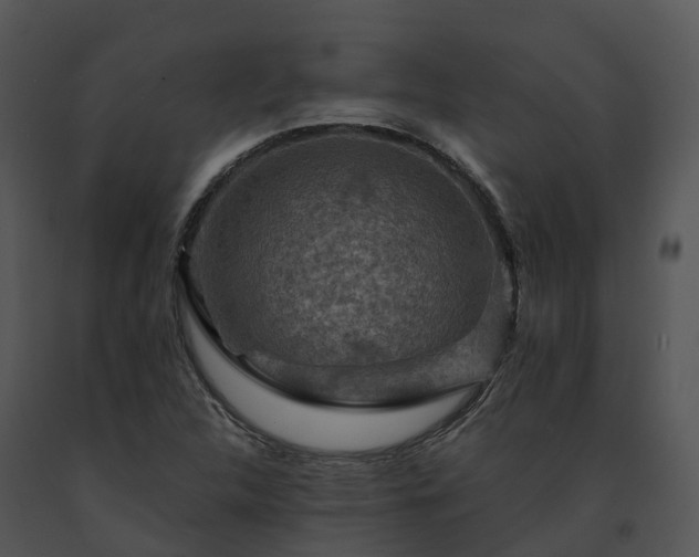 X0000091691312200708301532