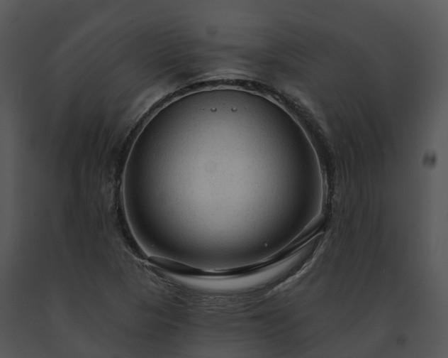 X0000091691313200708301532