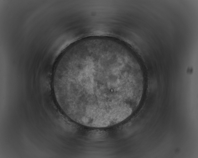 X0000091691314200708301532