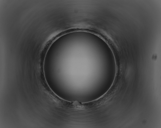 X0000091691315200708301532