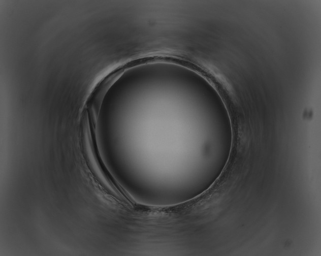 X0000091691316200708301532