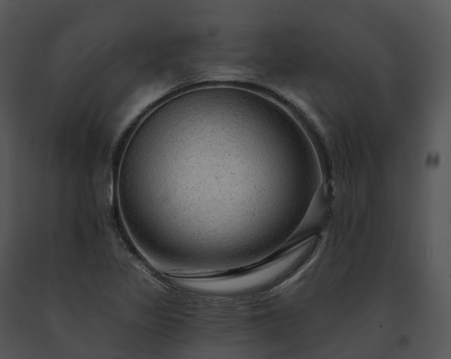X0000091691317200708301532