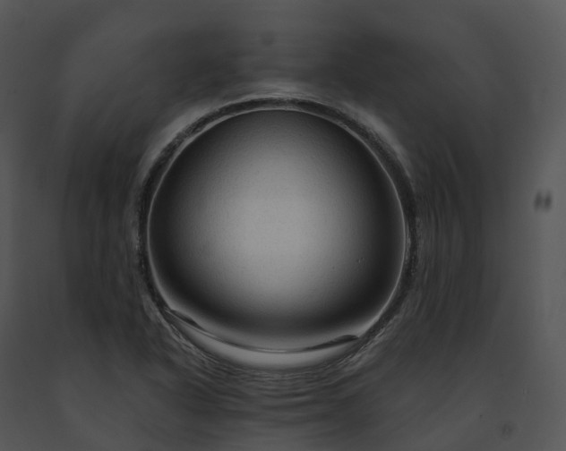 X0000091691318200708301532