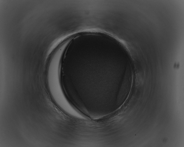 X0000091691319200708301532
