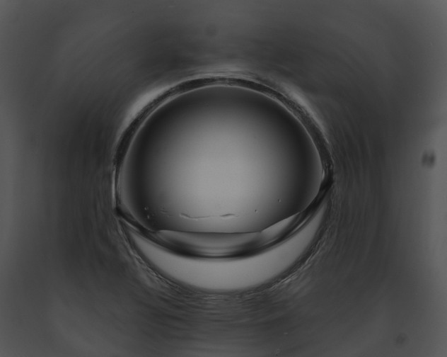 X0000091691320200708301532
