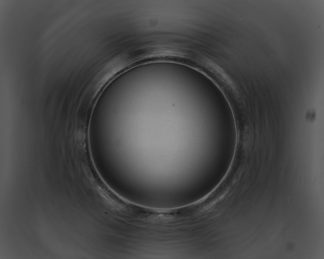 X0000091691321200708301532