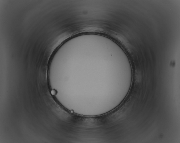 X0000091691322200708301532