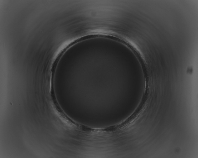 X0000091691323200708301532