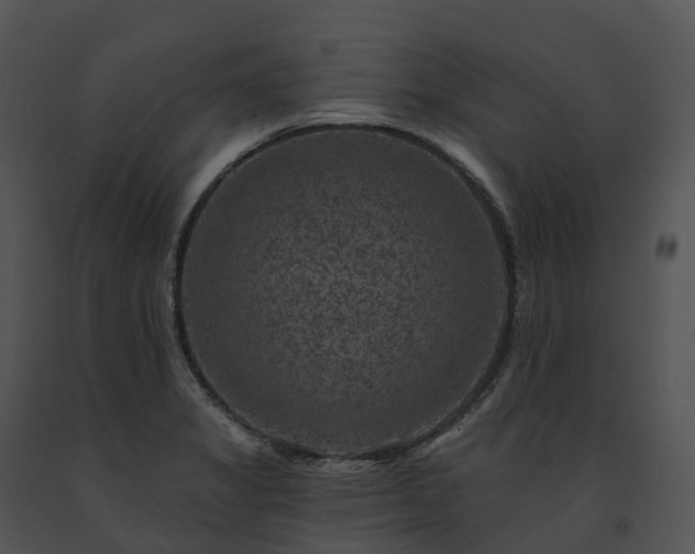 X0000091691325200708301532