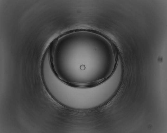 X0000091691326200708301532