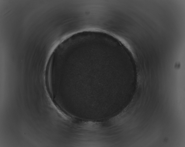 X0000091691327200708301532