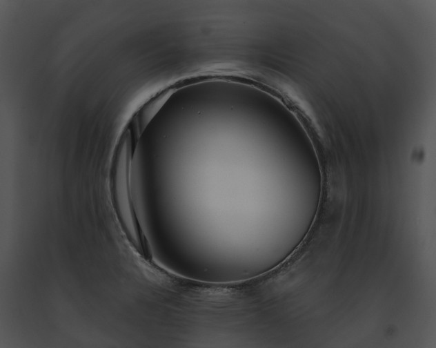 X0000091691328200708301532