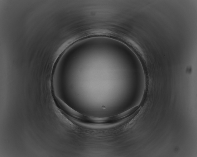 X0000091691330200708301532