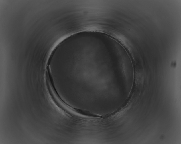 X0000091691331200708301532