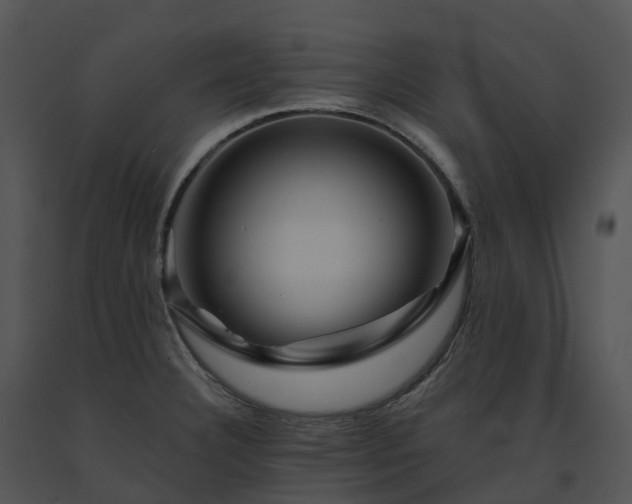 X0000091691332200708301532