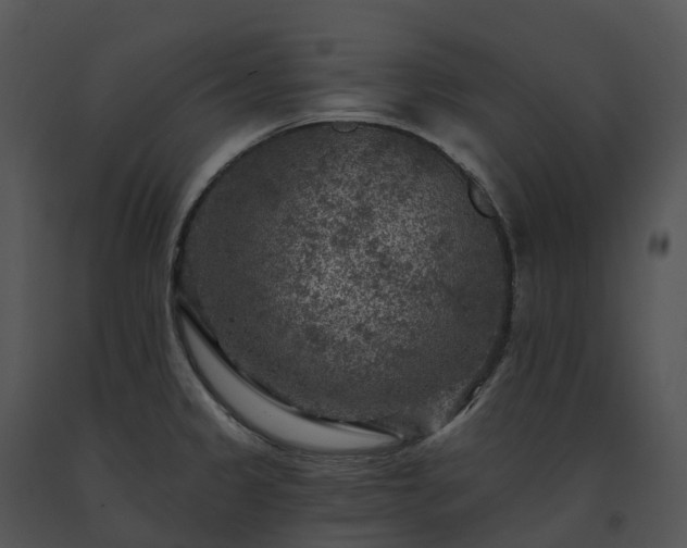 X0000091691333200708301532